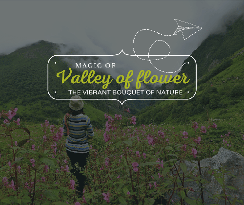VALLEY OF FLOWERS –The Vibrant Bouquet of Nature - EX- Rishikesh